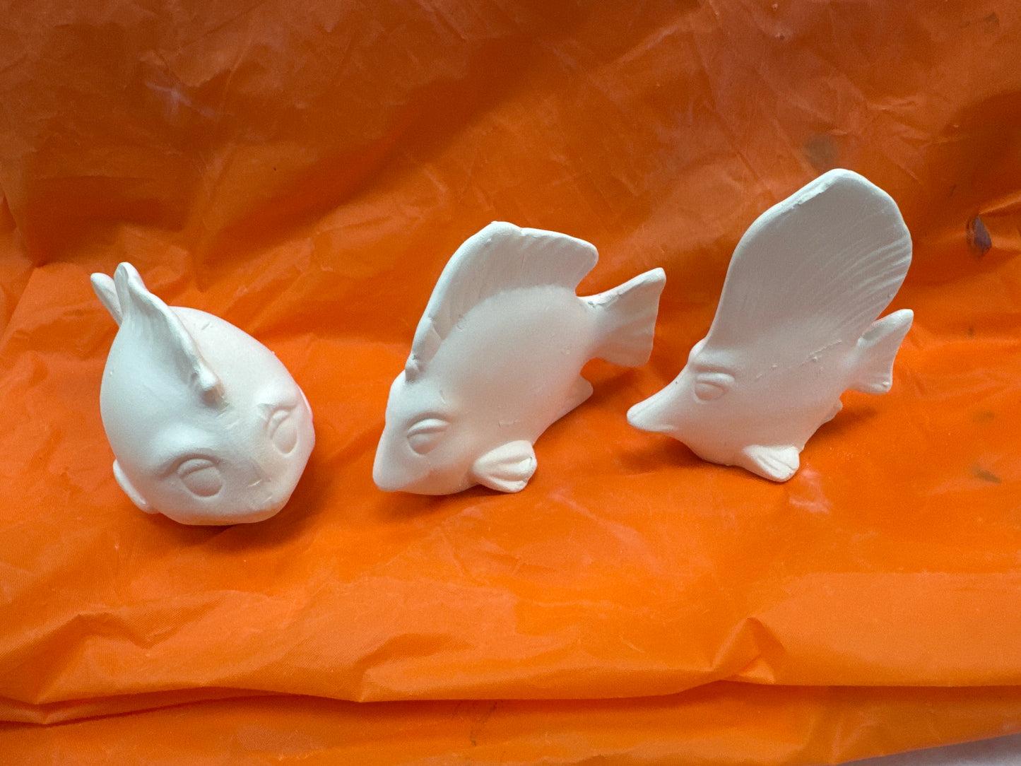 Assorted Tropical Fish