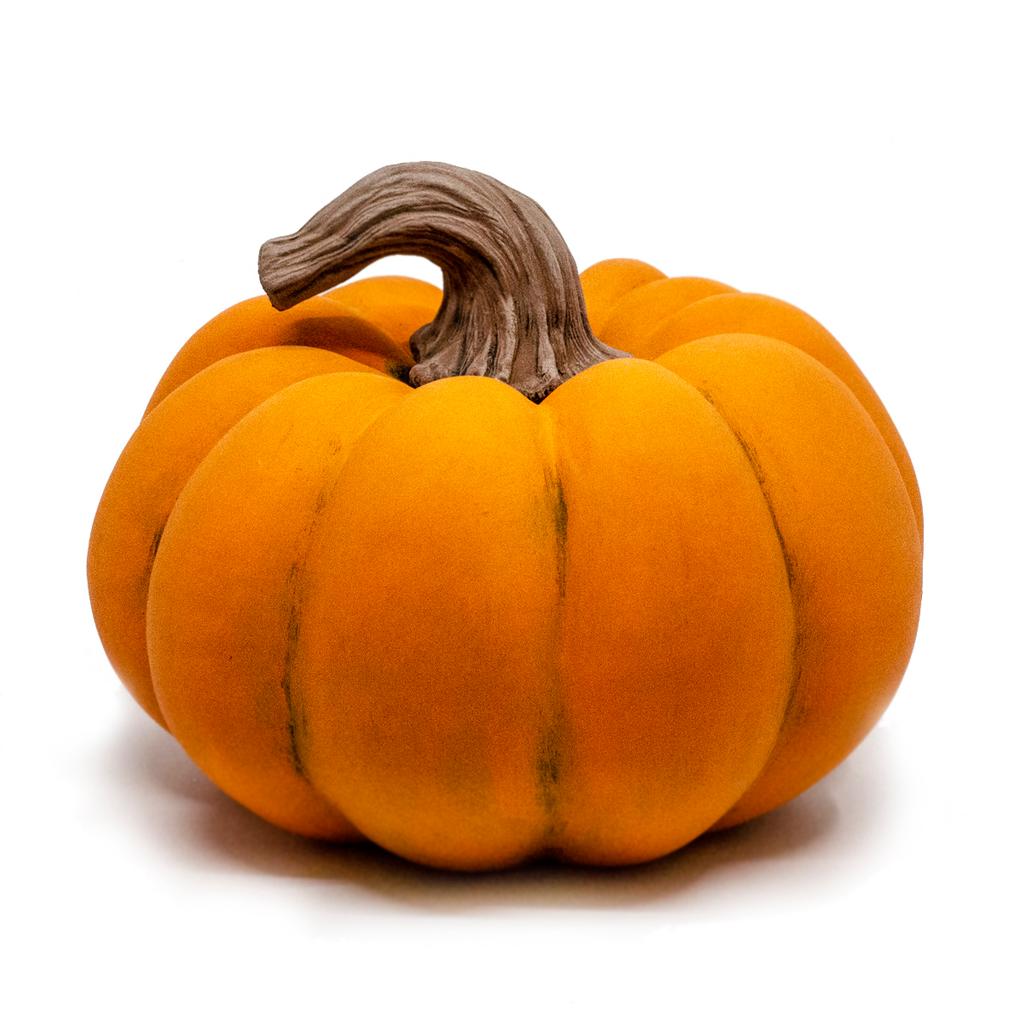 Large Squatty Pumpkin