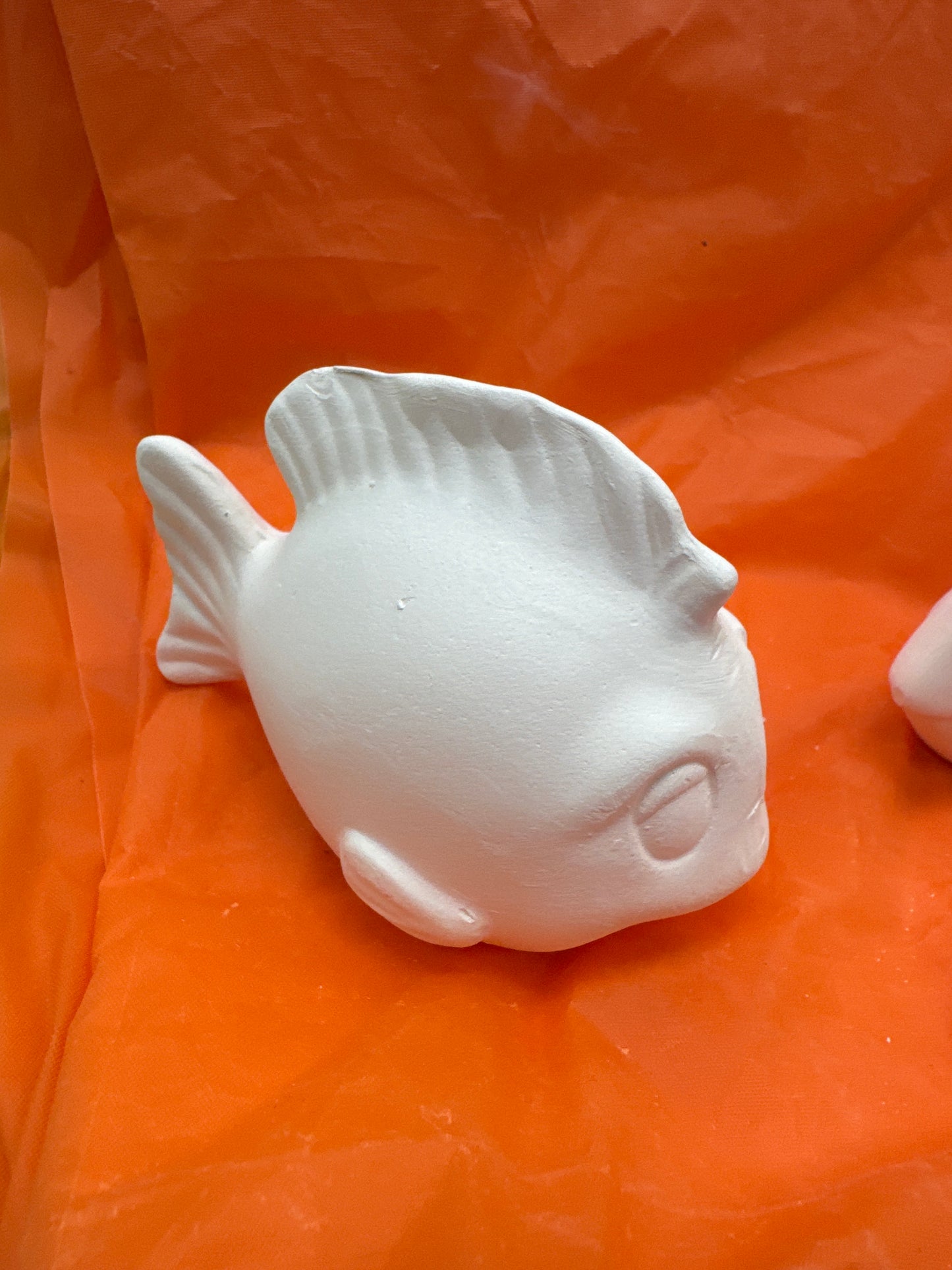 Assorted Tropical Fish
