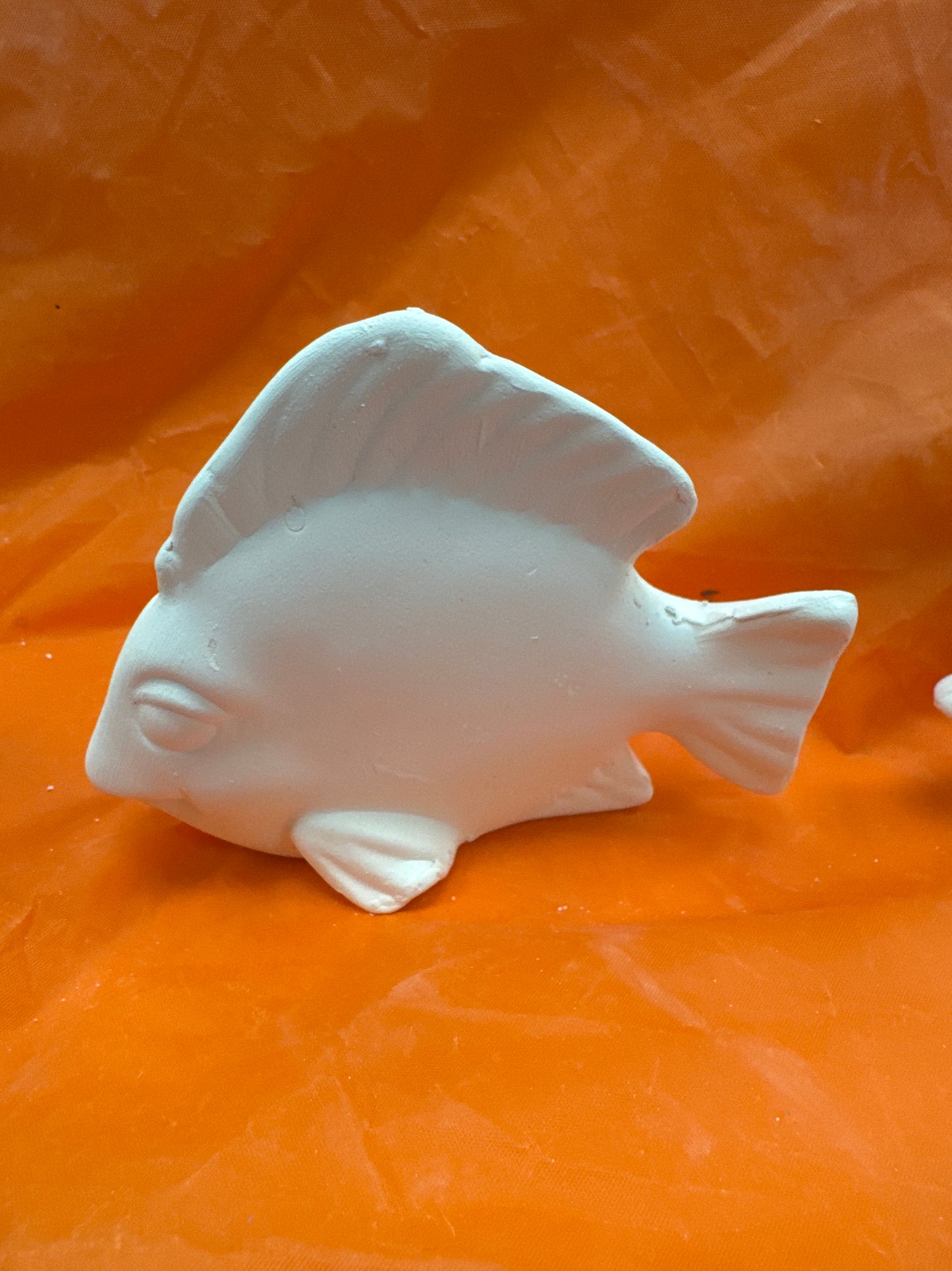 Assorted Tropical Fish