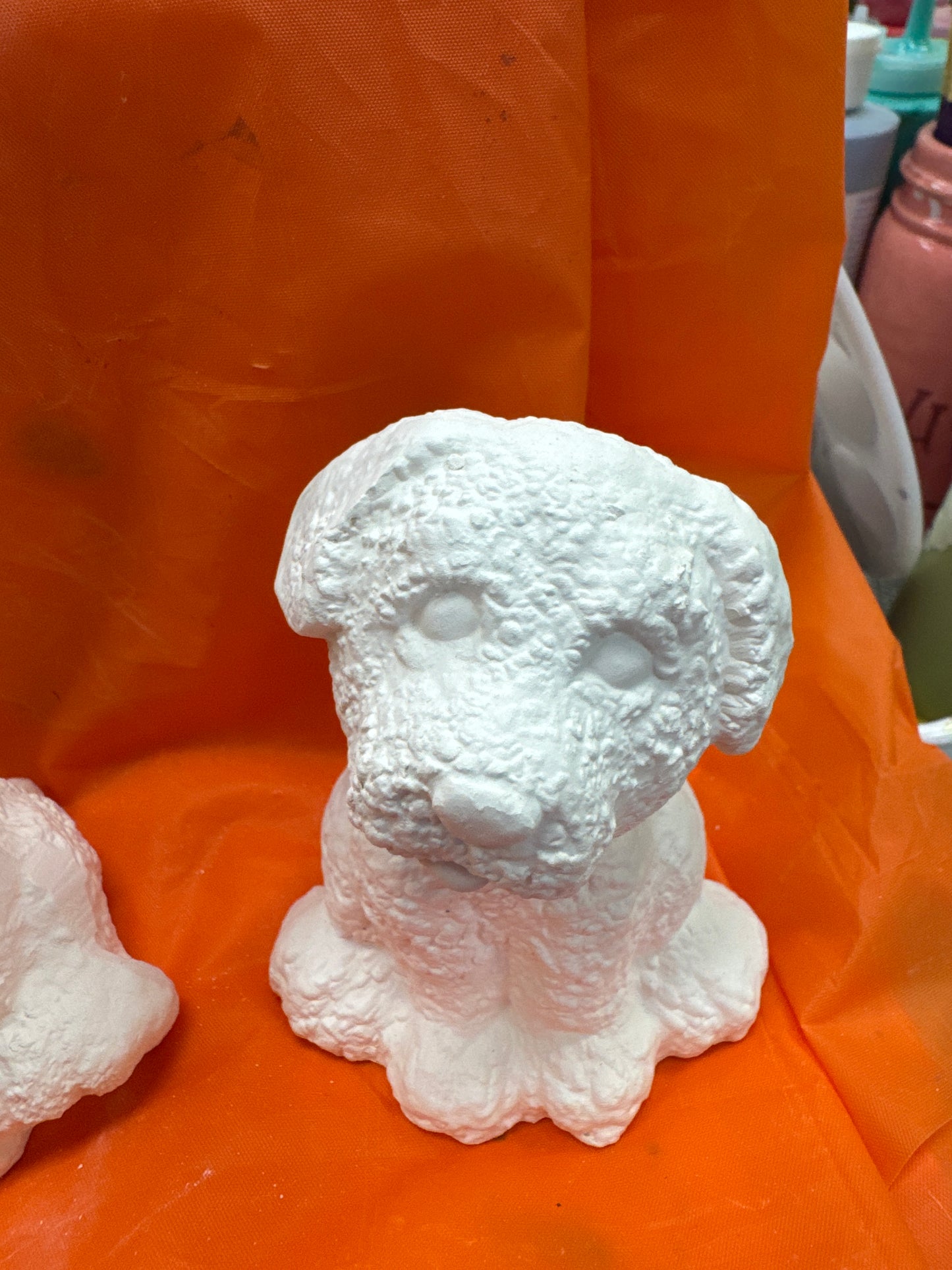 Assorted Small Fluffy Textured Dogs