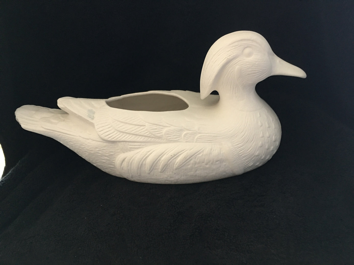 Duck W/ Long Hair