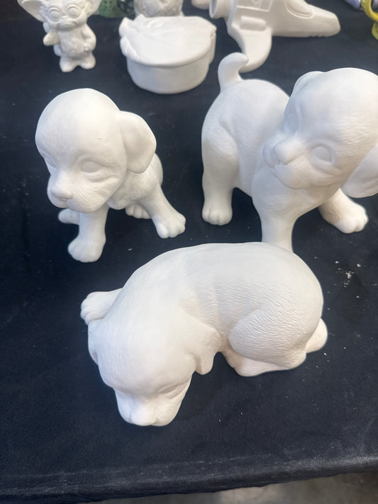Assorted large dogs sitting laying standing