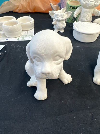 Assorted large dogs sitting laying standing