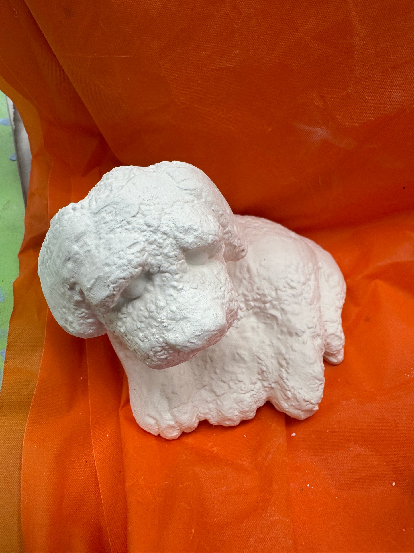 Assorted Small Fluffy Textured Dogs
