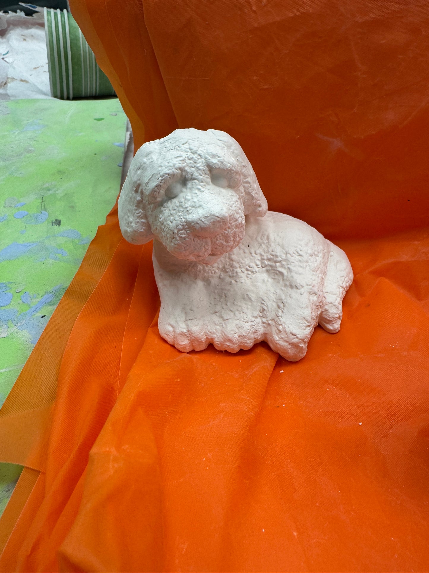 Assorted Small Fluffy Textured Dogs