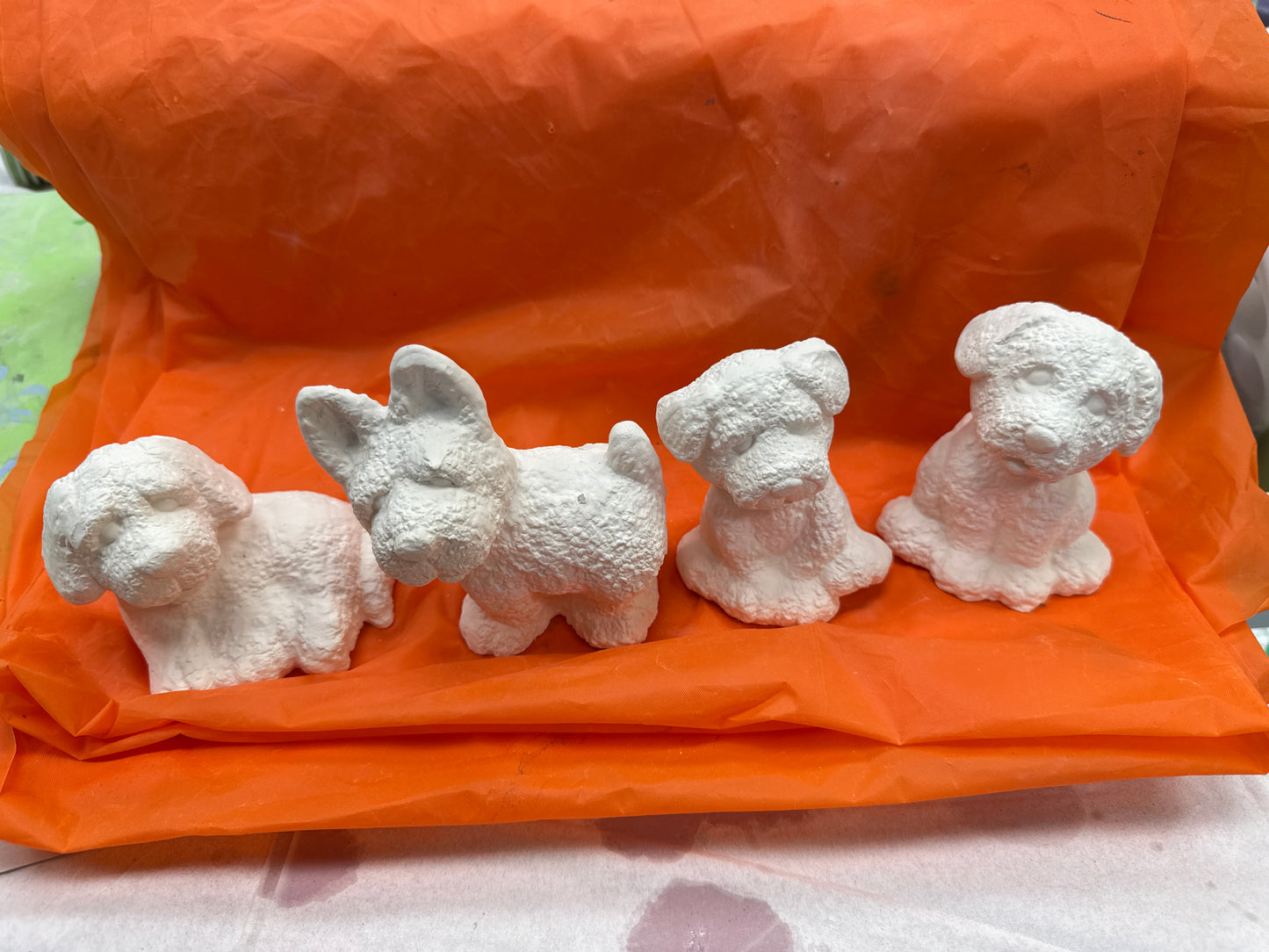 Assorted Small Fluffy Textured Dogs