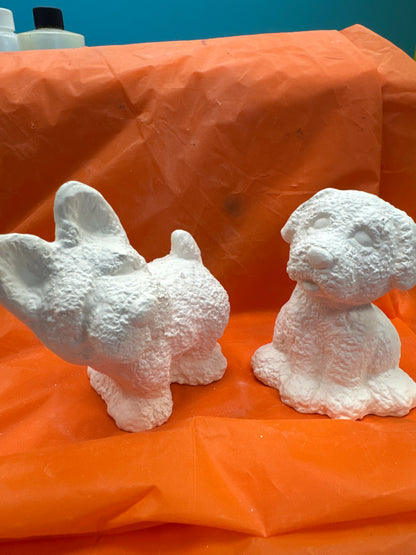 Assorted Small Fluffy Textured Dogs