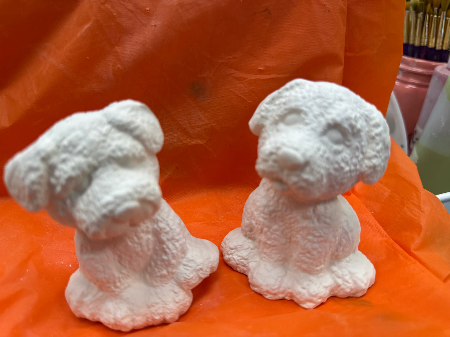 Assorted Small Fluffy Textured Dogs