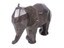 FACETED ELEPHANT BI