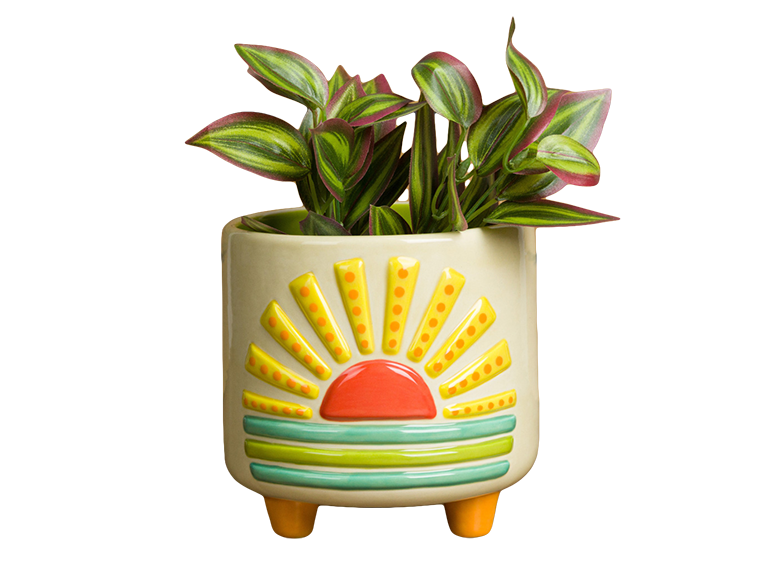 Sun Footed Container