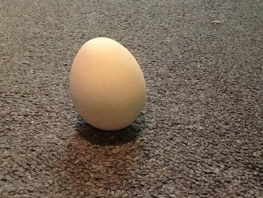 EGG