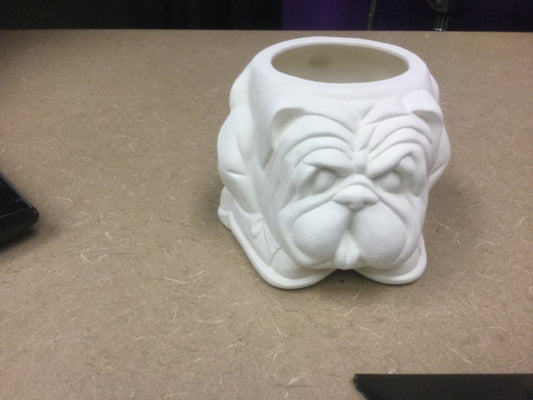 Bulldog in tennis shoes planter