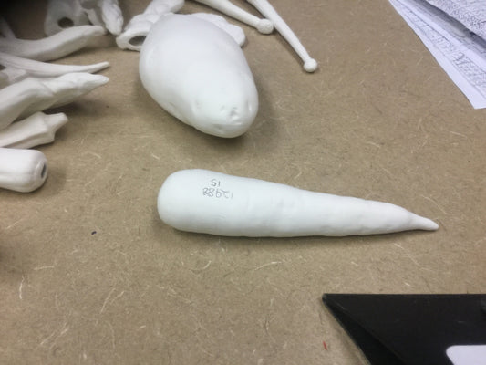 Carrot