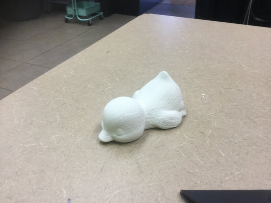 Duck laying down