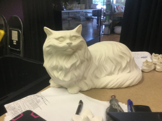 Exlarge mancoon cat laying down