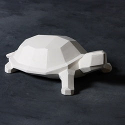 Faceted Turtle