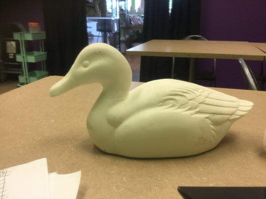 Decoy ducks