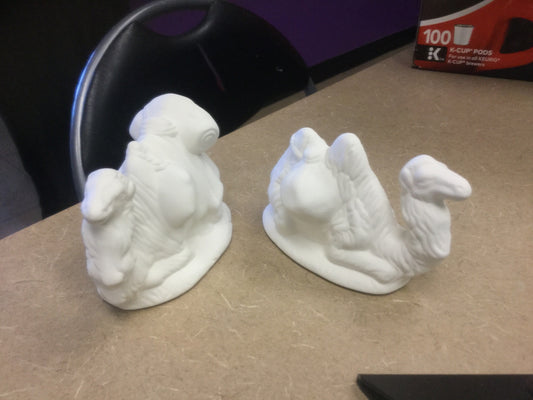 Assorted laying down camel