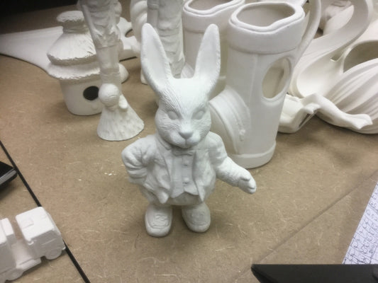 Bunny in a suit