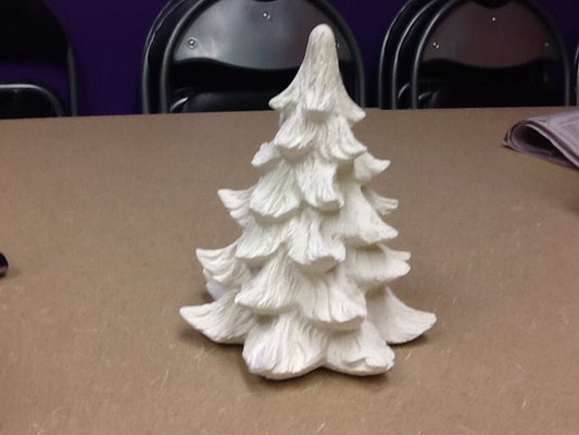 6 inch pine tree