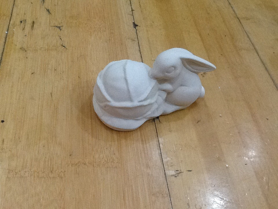 Bunny Eating Cabbage