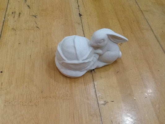 Bunny Eating Cabbage
