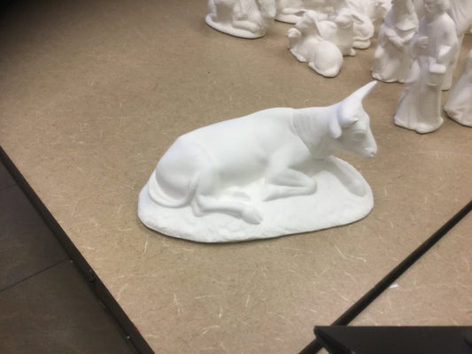 Bull laying down