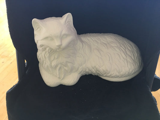 Cat Lying Down