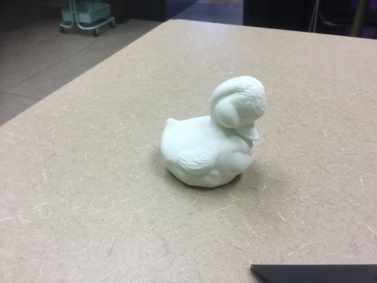 Duckling with head down