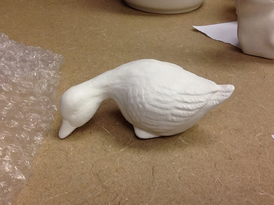 Xsmall duck