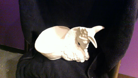 Donkey Spring Flower Pot