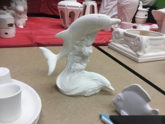 2 dolphins swimming