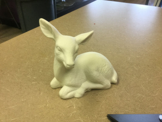 Deer laying down small