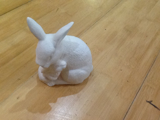 Adult And Baby Bunny