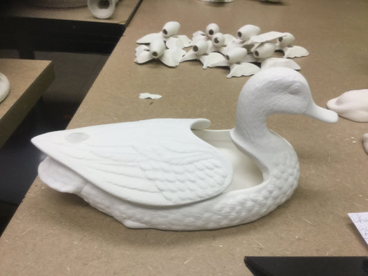 Duck box with feathers