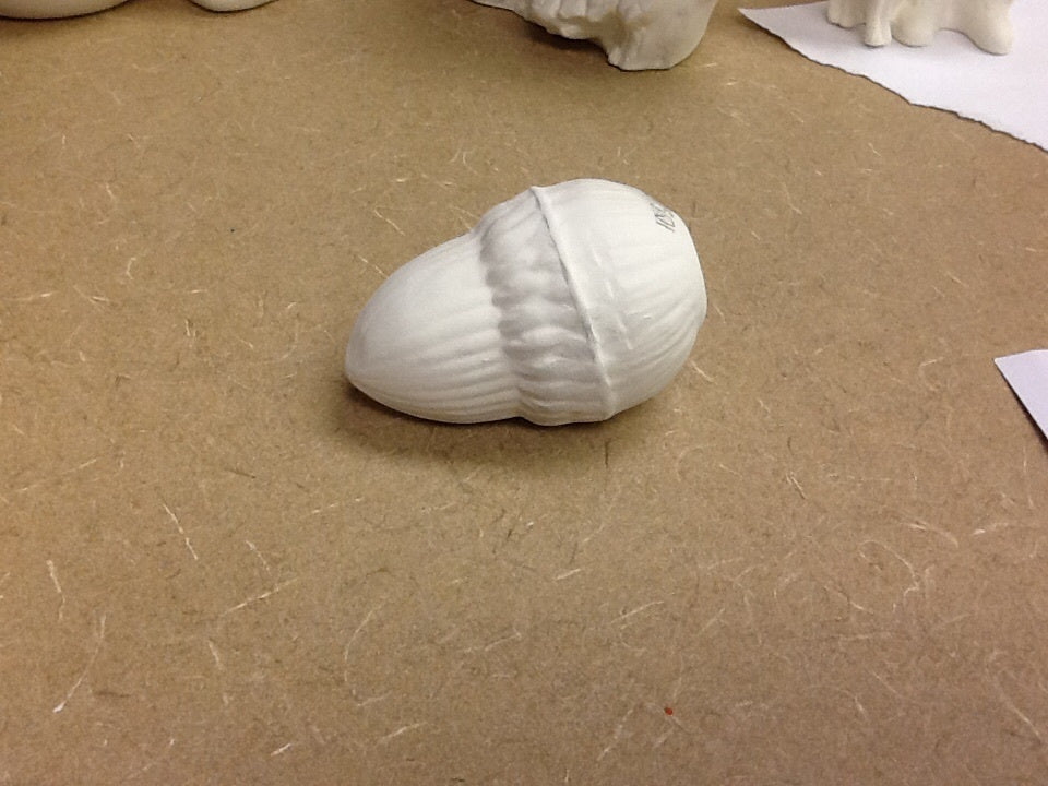 Acorn