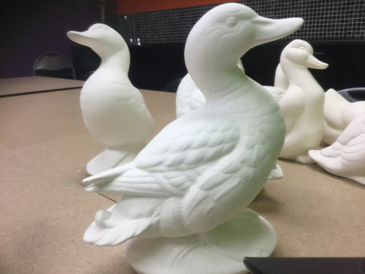 Detailed duck sitting up