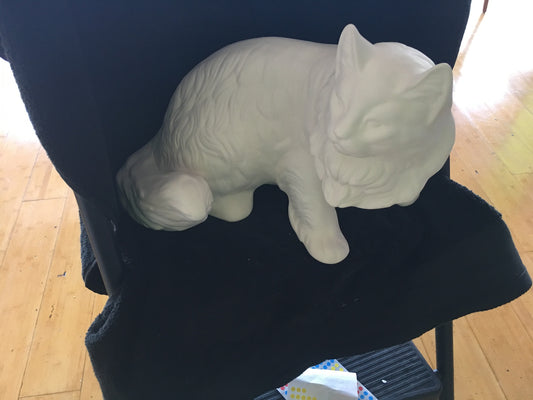 Cat Bending Down