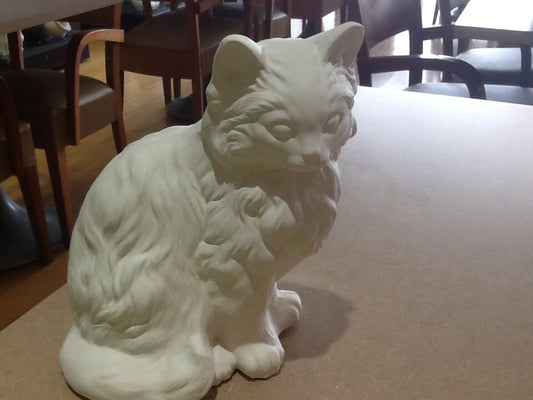 Fluffy sitting cat