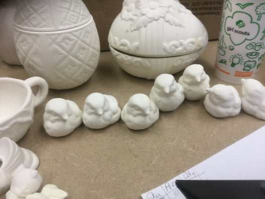 Assorted Small chicks